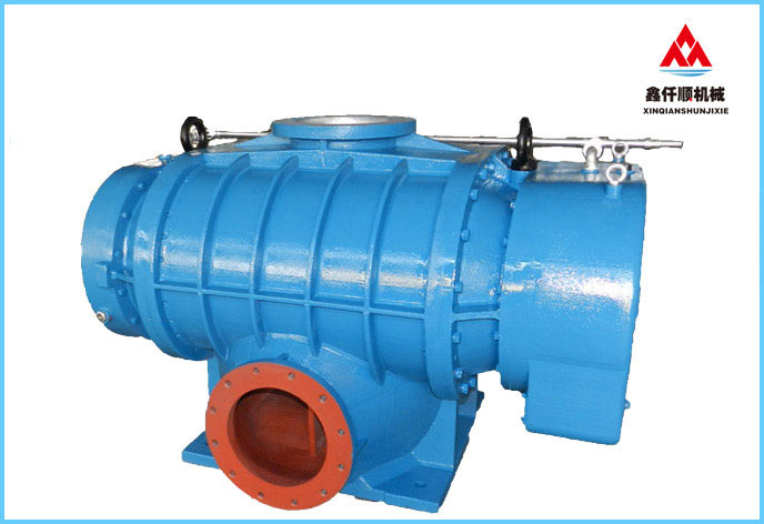 二叶罗茨91久久婷婷国产麻豆精品电影