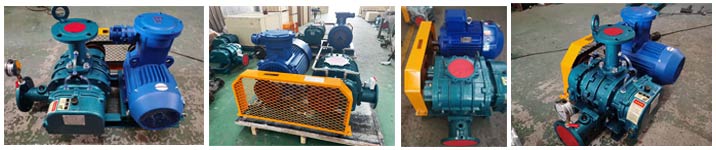 特殊气体输送用罗茨鼓91久久婷婷国产麻豆精品电影